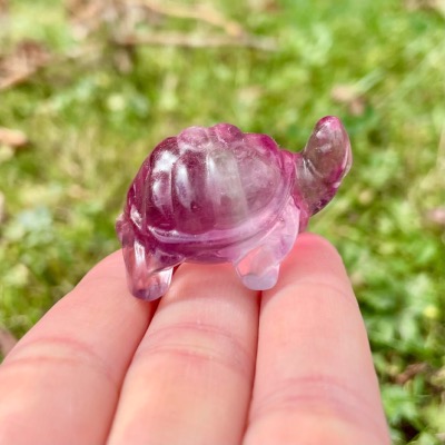 Tortue en Fluorite multicolore
