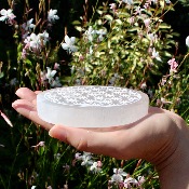 Fleur de vie en Sélénite 