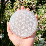 Fleur de vie en Sélénite 