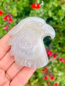 Tête d' Aigle en Agate Druzy - n°3